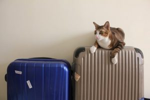 スーツケースのパッキング方法は？